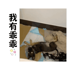阿沐與客串冬瓜
