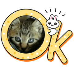 suni!