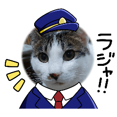 KINAKO_20250330100221