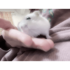 h_20250330102148