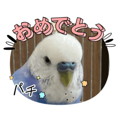 Mei_20250330110404