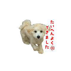 maruto.