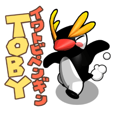 イワトビペンギンのTOBY