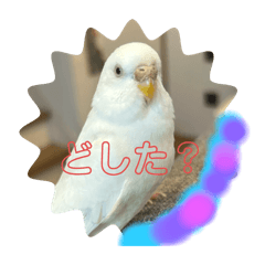ao_20250330130523