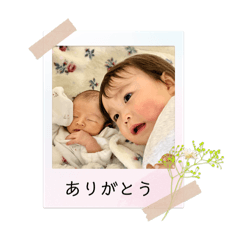 mako_20250330124002
