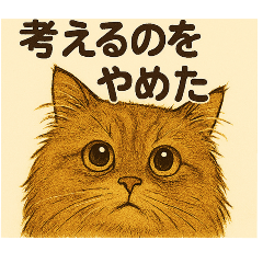Nao_20250329160720
