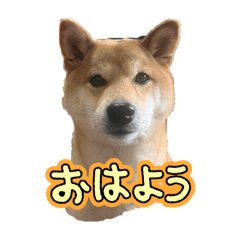 suzu_20250330134755