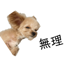 福のあいさつ！