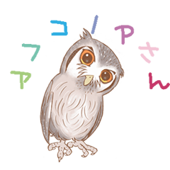 White-faced Scops Owl psan