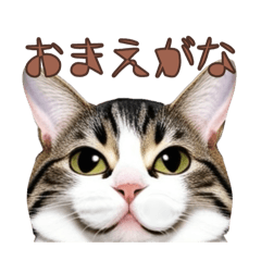 Yuna_20250328184656