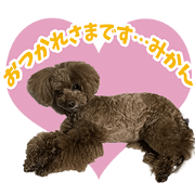 MOCOPUMIKANSAN'S Sticker