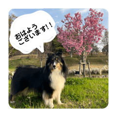 Yumi_20250330160341