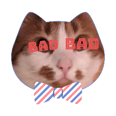 Biscuit the cat is bad