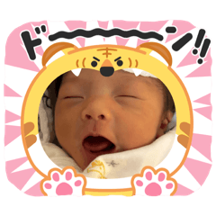 sho_20250330142309