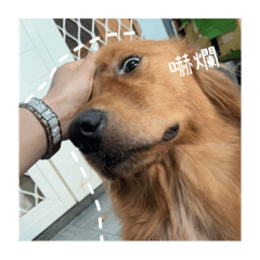 小多3