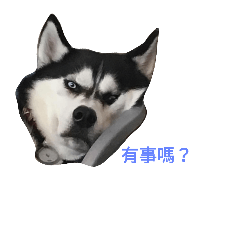 Anuko