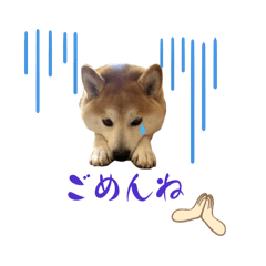 koto_20250330185210