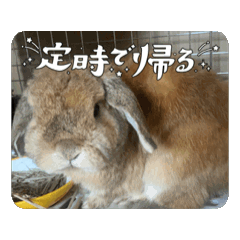 Yuki_20250330212418