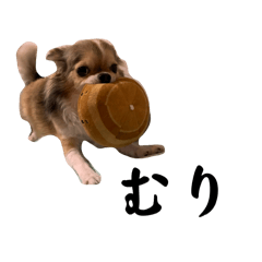 l_20250329173724