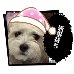 Riku_20250329192747