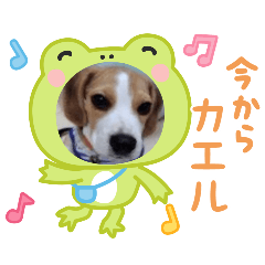 kotetsu_20250329170700