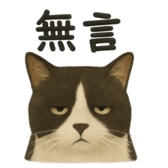 黑白貓_躺平_第一彈