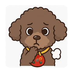小熊犬