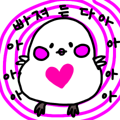 Cutiest bird