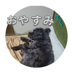RIKU_20250330181400