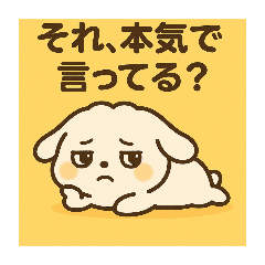 RUNA_20250330182726