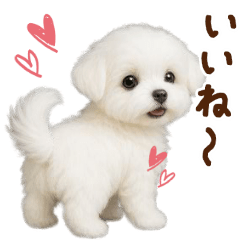 GO!feltDogs_ai_04