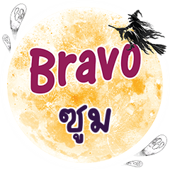 ZOOM Bravo One word