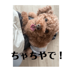 yukari_20250330150411