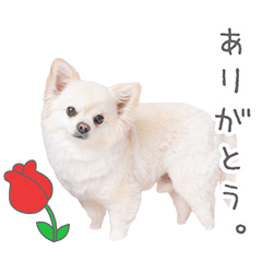 StampNo:5086
