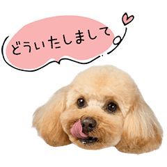 StampNo:5080
