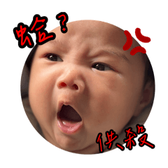 碩寶日記(壹)