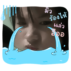 dutch_20250329080949