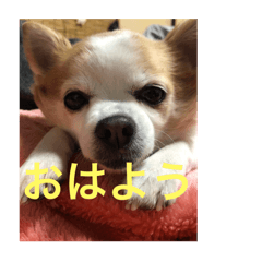 happy_20250330152504