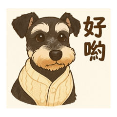 芝芝金萱