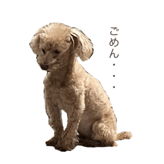 nana_20250330221215