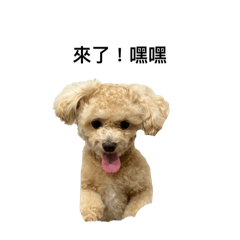 八千八