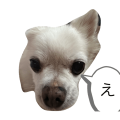 yui_20250330203836