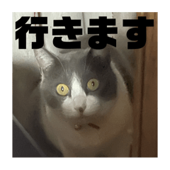 Tom_20250330231601