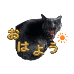 y_20250330174023