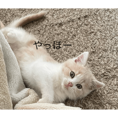 haruka_20250330173458