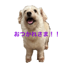 Hannah_20250330214154