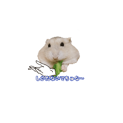 aiueo_20250330230108