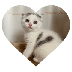mika_20250330230051