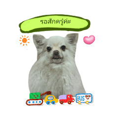 Little Bubi ver 2