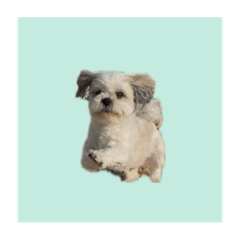 POM_20250331003117